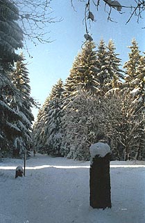  Winter 2003 